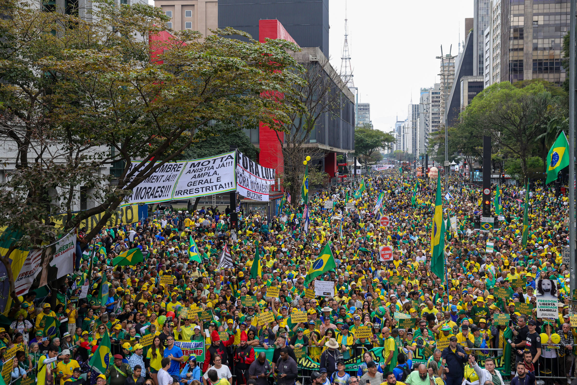 Independência do Brasil é marcada por pedidos de intervenção estrangeira