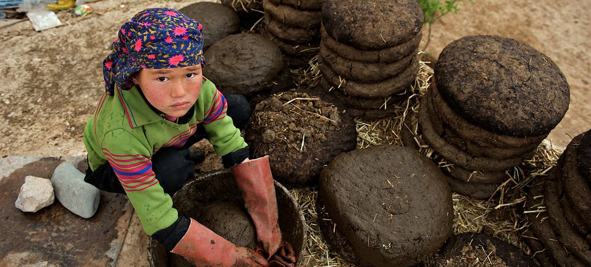 Proibição do ensino secundário para meninas no Afeganistão faz quatro anos
