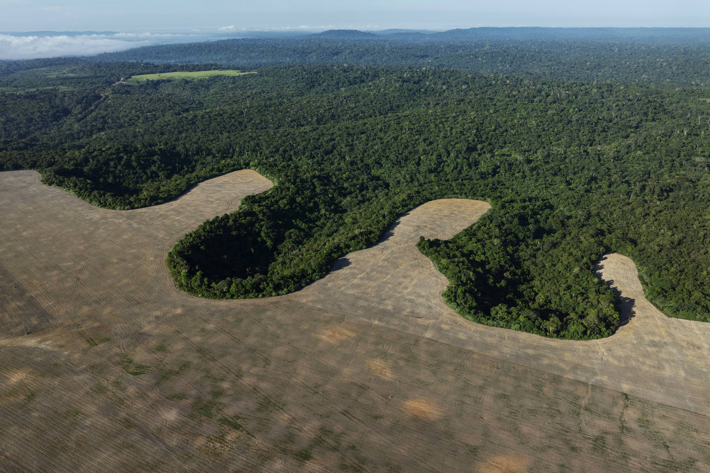 Crédito rural financiou R$ 29,7 bilhões a produtores em situação irregular, aponta TCU