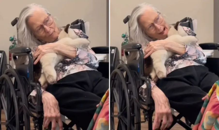 Diagnosticada com demência, idosa não se esquece de Jesus: ‘É o Filho de Deus’