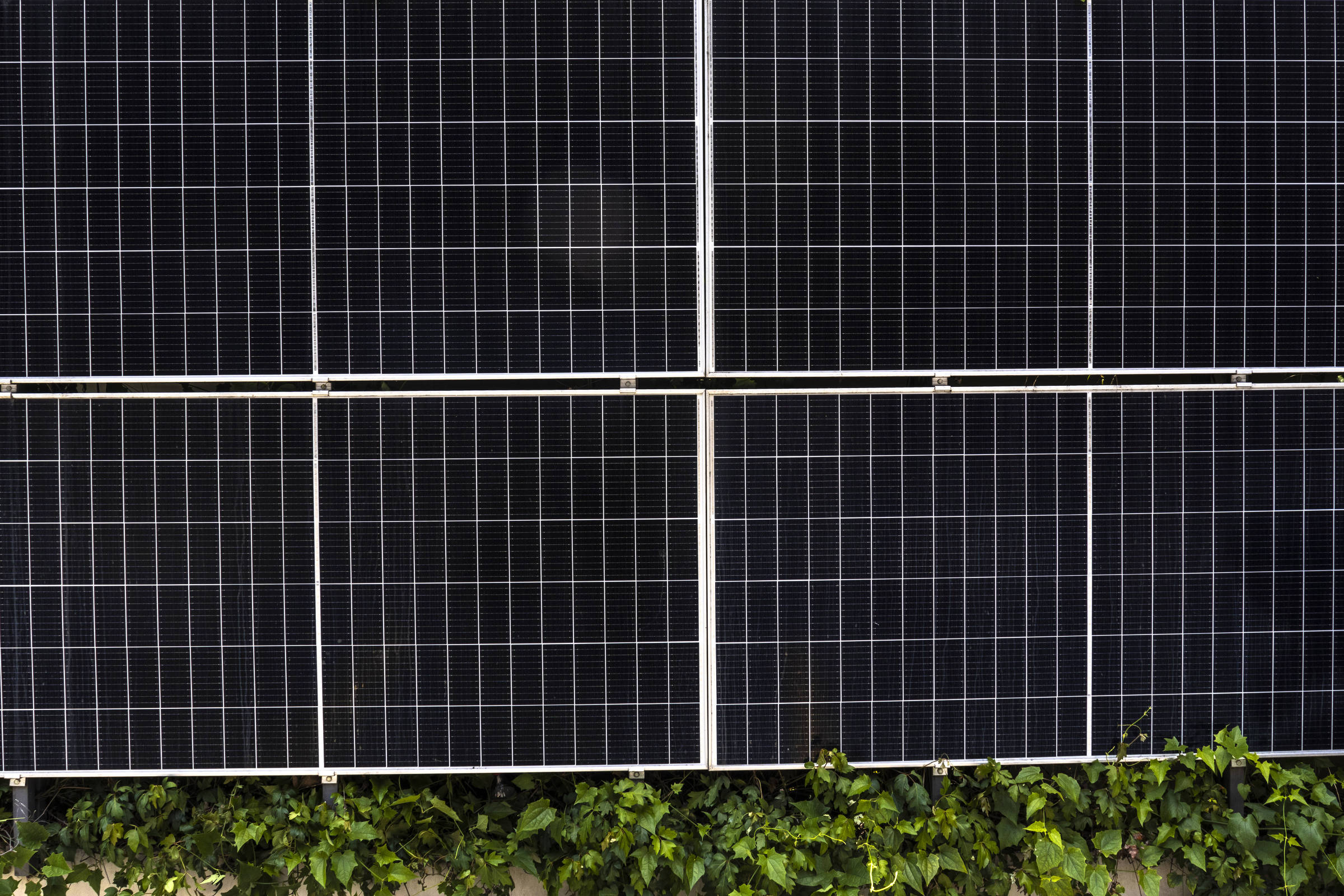 Geração solar com subsídio pode estar sendo vendida ilegalmente, e setor debate cobrar compensação