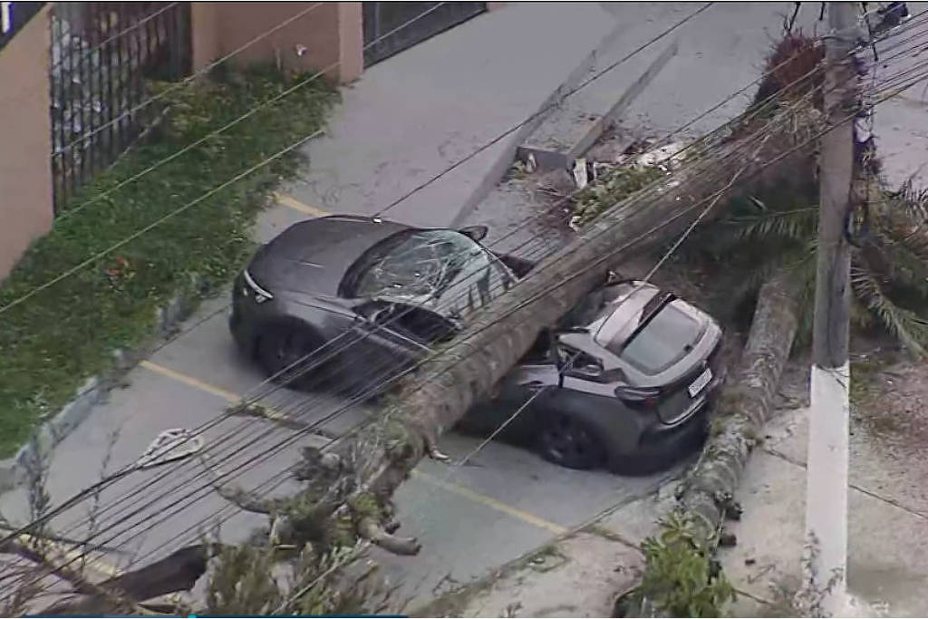 Árvore de grande porte destrói carro em estacionamento na zona sul de SP