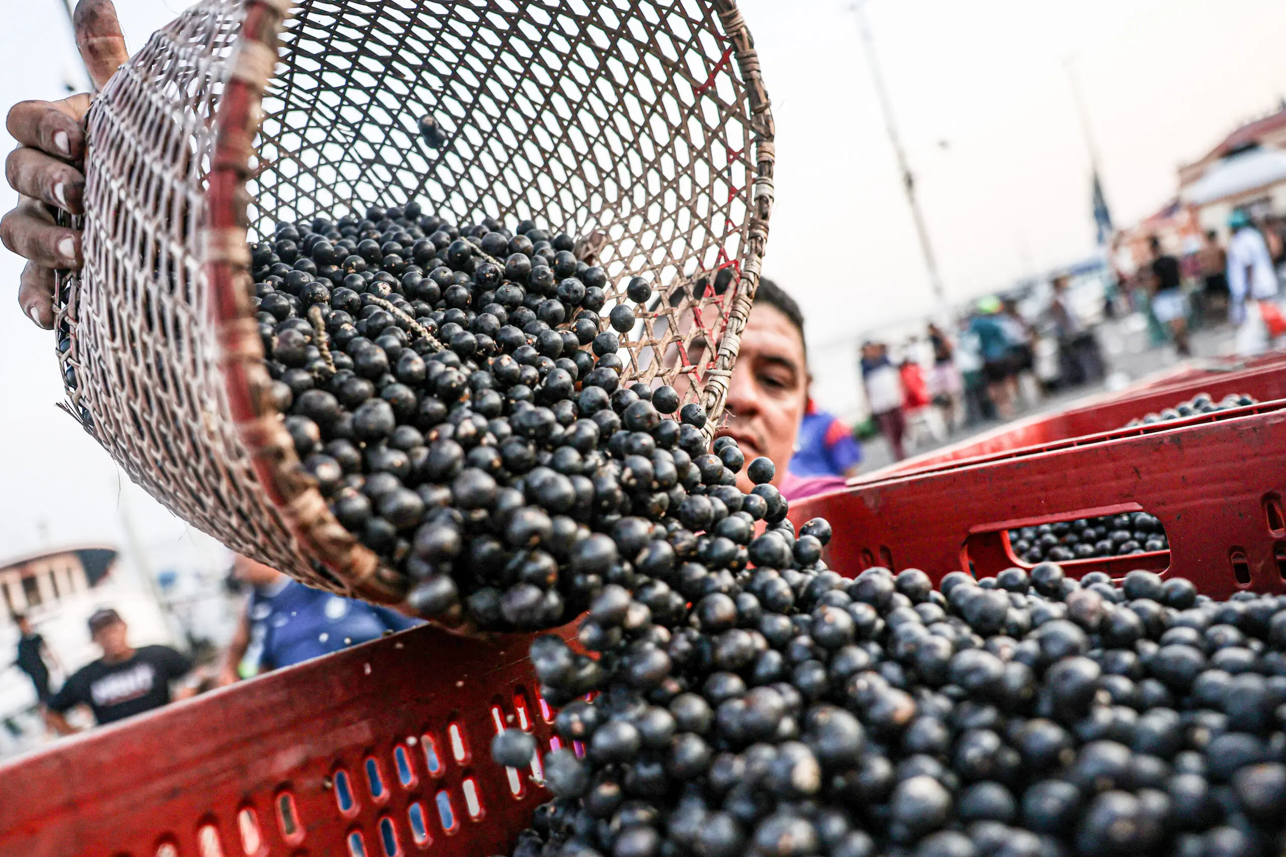 Como os vexames da COP 30 expõem a hipocrisia do governo Lula  