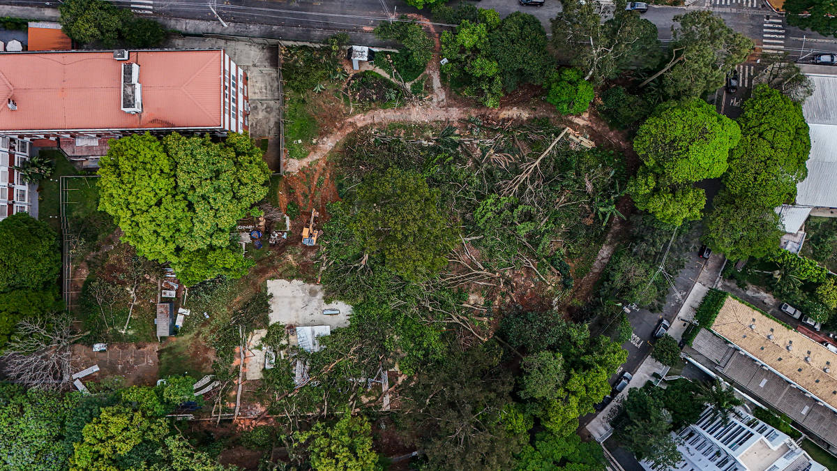 Remoção de árvores por construtora causa atrito entre Nunes e moradores da Lapa