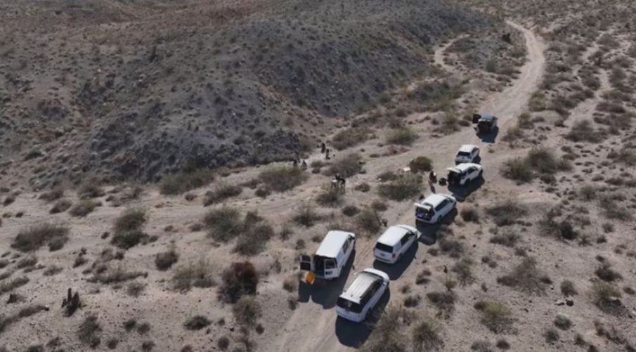 Pilhas de cadáveres encontrados em propriedade vira caso de polícia