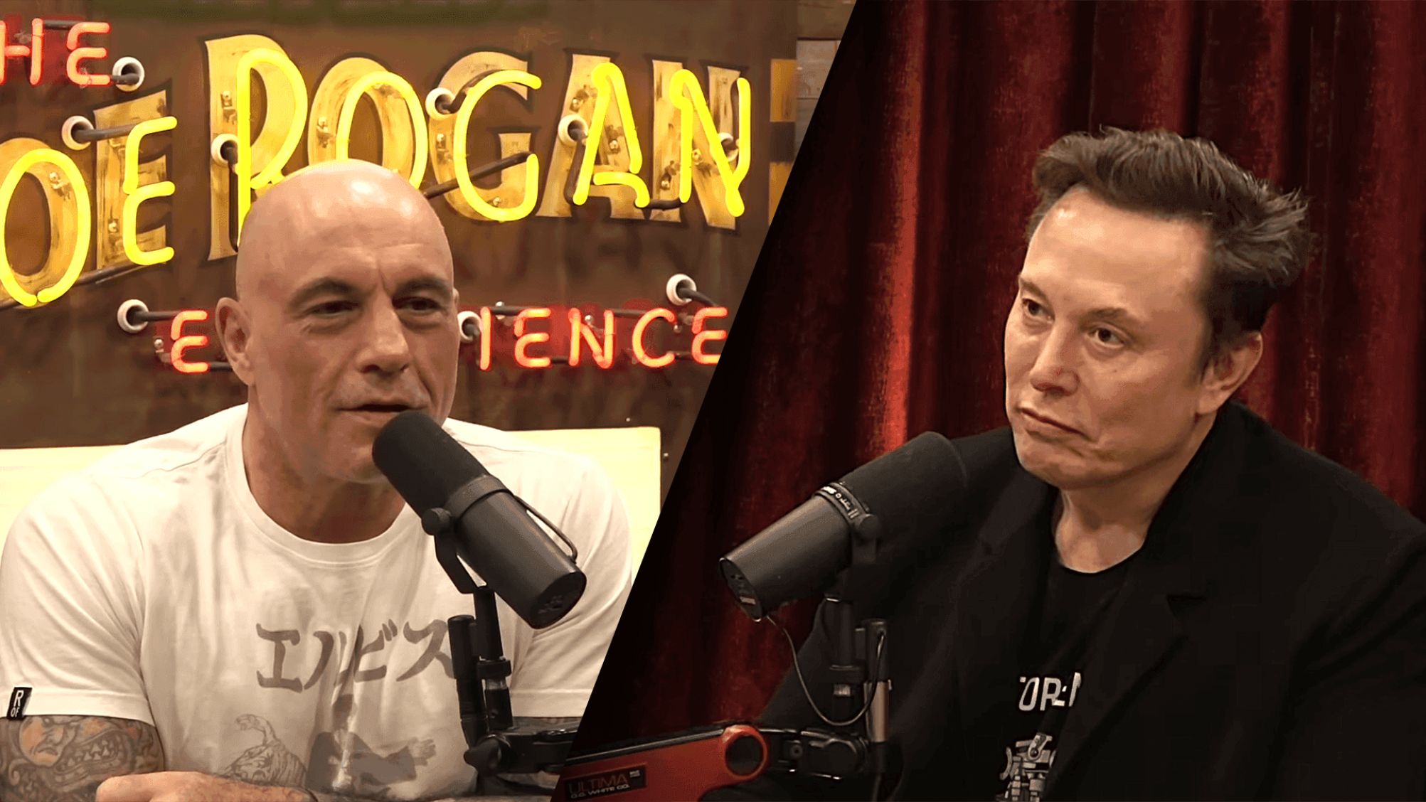 Elon Musk expõe planos da esquerda para os EUA: ‘Importar eleitores’