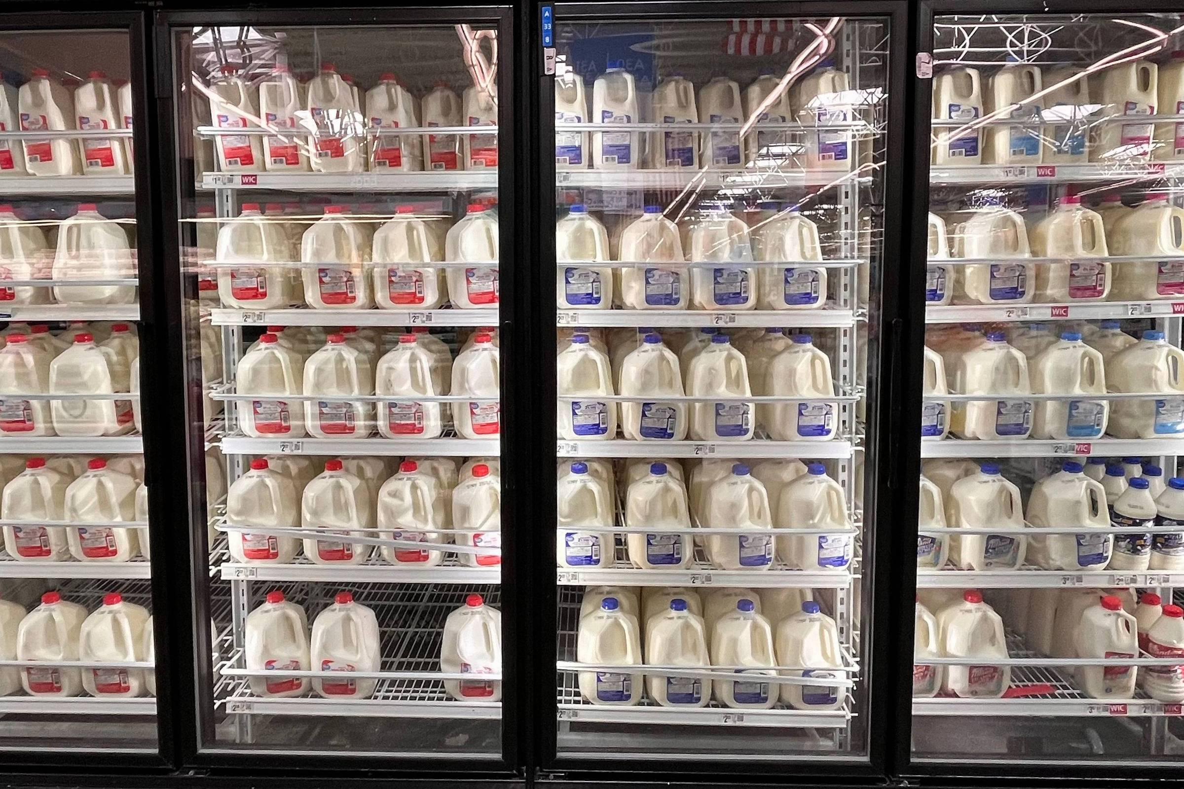 Ciência revê benefícios dos laticínios integrais após anos de restrições nos EUA