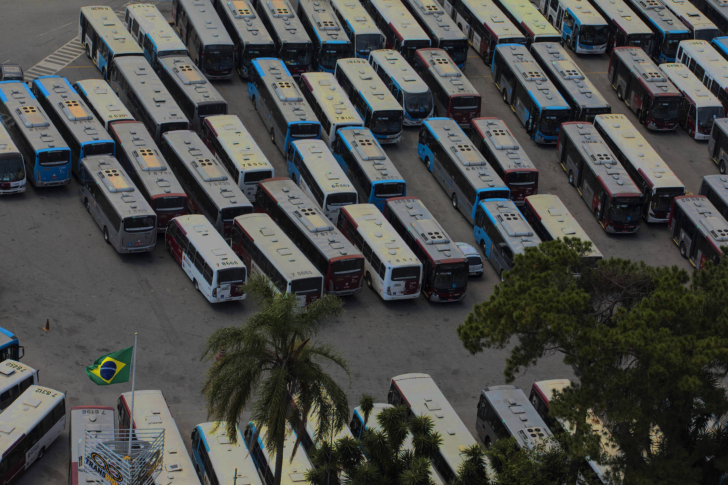 Gestão Nunes rompe contrato com a Transwolff; SPTrans assume gestão de linhas