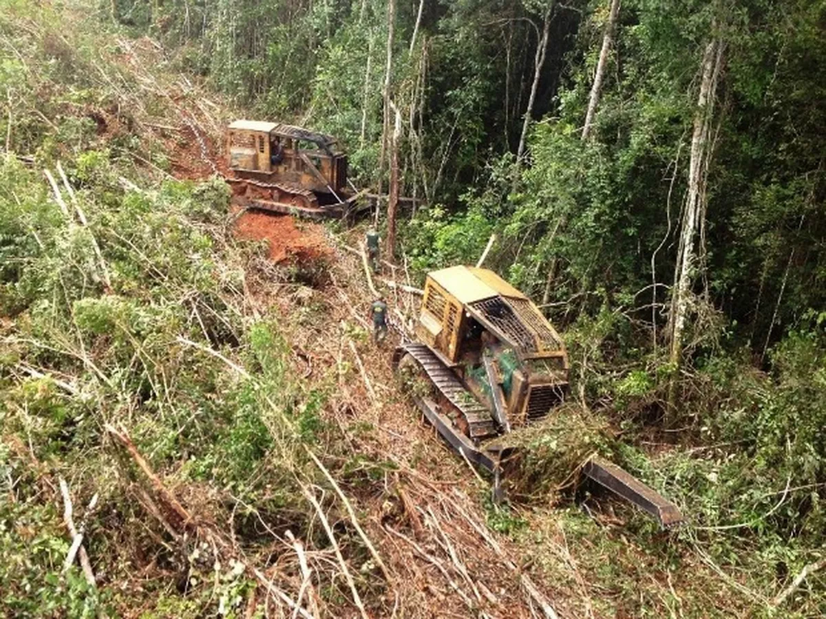 Levantamento revela que apenas 1% das multas ambientais são pagas em MT | Mato Grosso