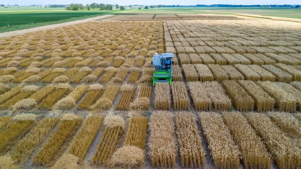 Unemat vai da sala de aula ao “Cinturão do Milho” nos Estados Unidos