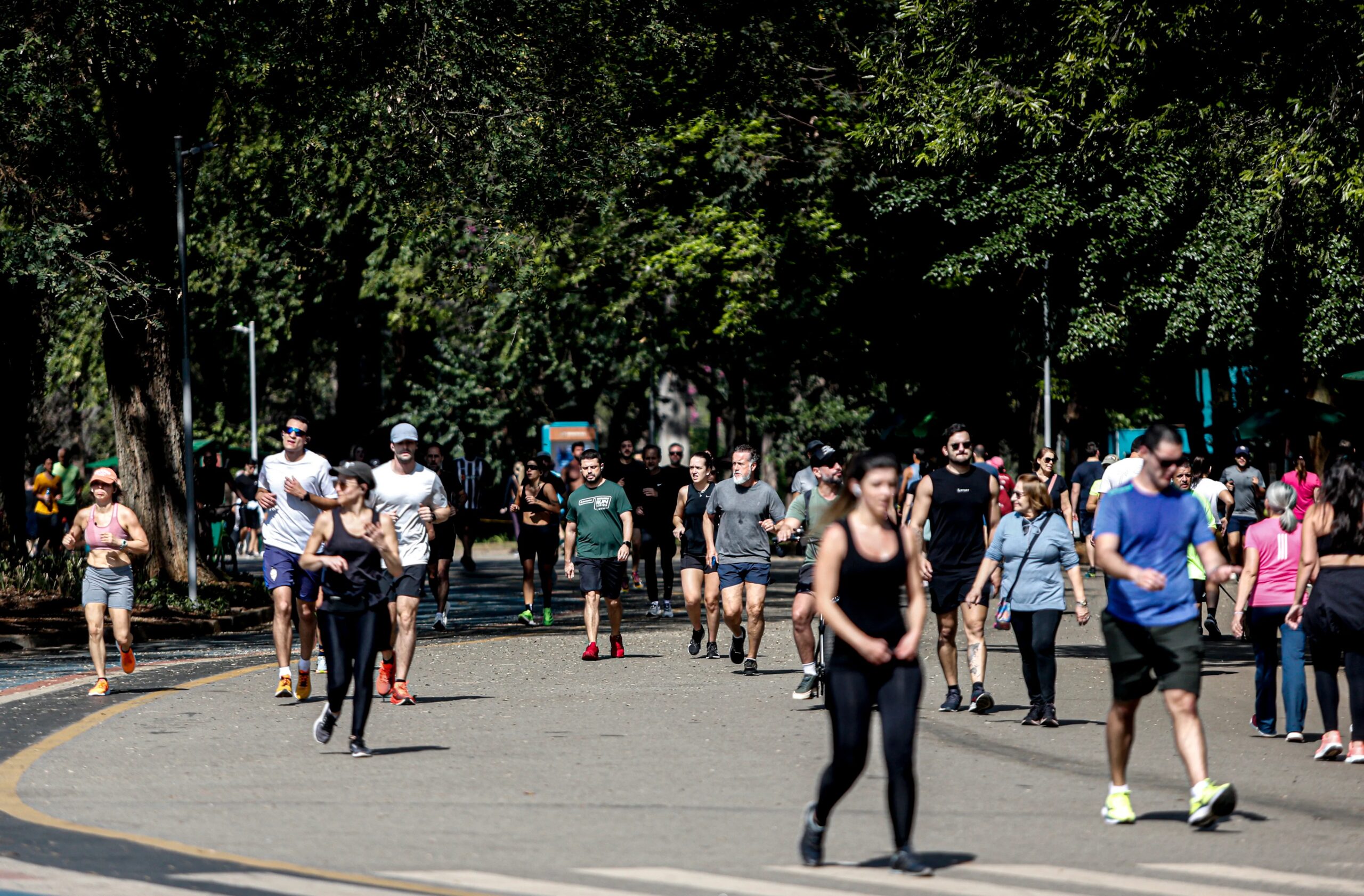 Ipsos: 45% dizem que crime e violência são as principais preocupações dos brasileiros