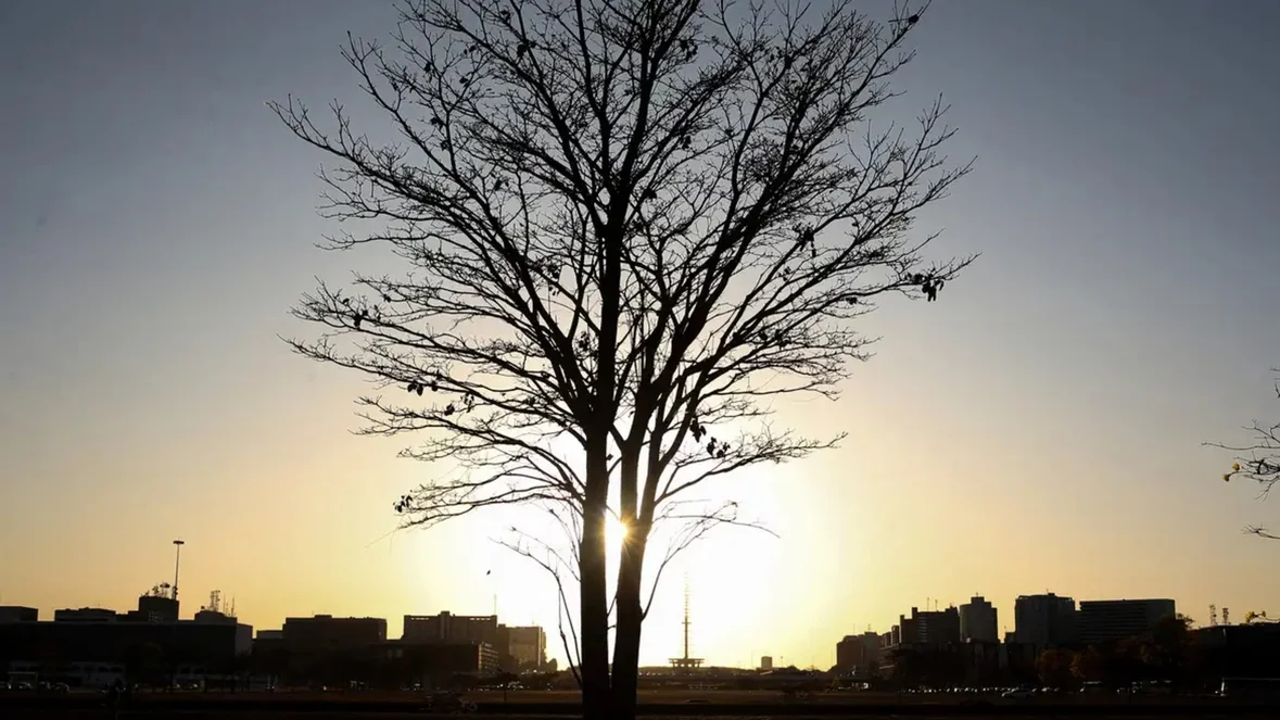 Ano de 2025 foi o terceiro mais quente da história