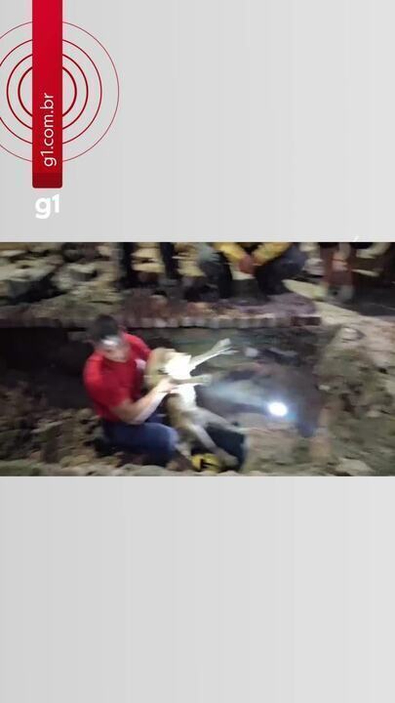 Resgate de cão cego em tubulação abre 5 metros de rua