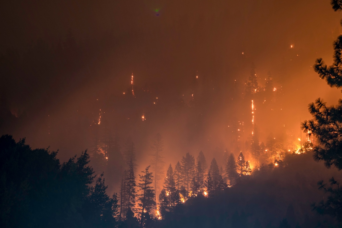 Incêndios do século 21 no Alasca são os mais intensos da história