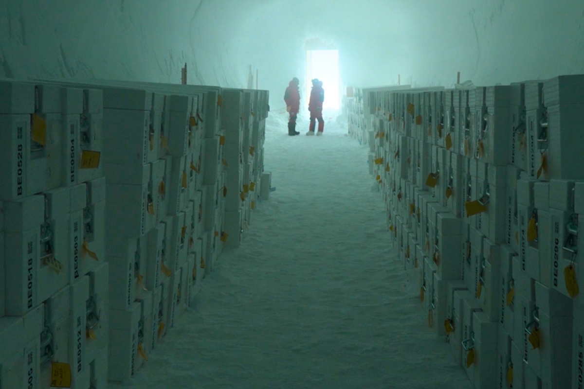 Saiba por que devemos guardar pedaços da natureza