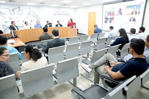 ALMT e Ministério de Minas e Energia discutem novo contrato de concessão de energia elétrica