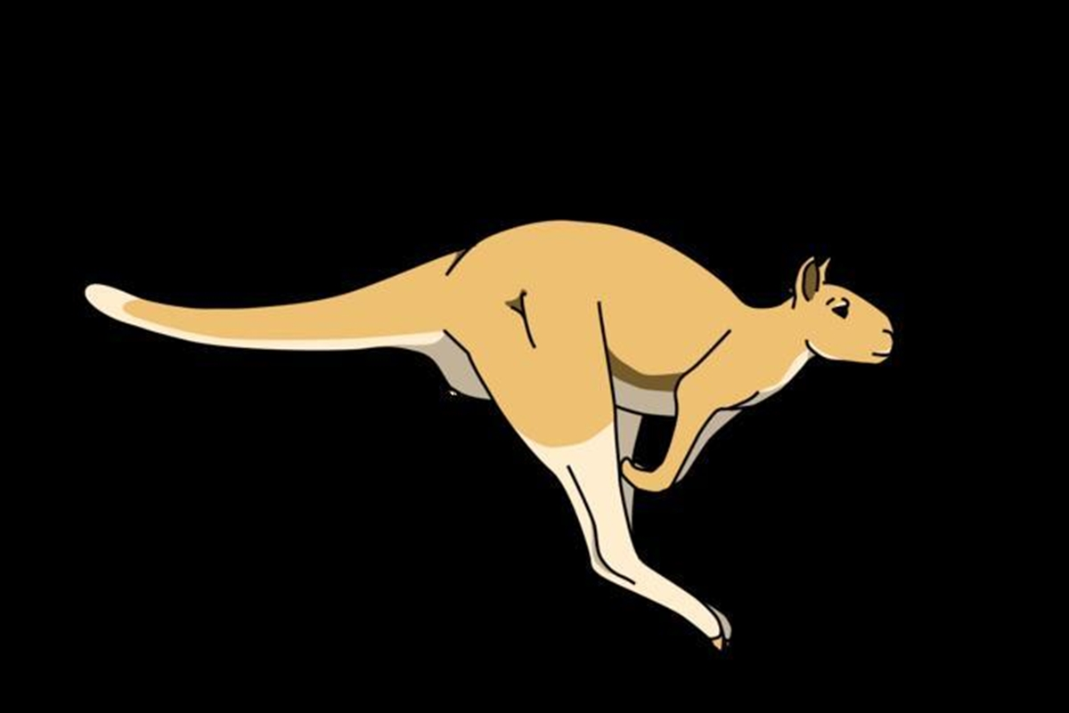 Mesmo com mais de 200 kg, cangurus antigos conseguiam pular