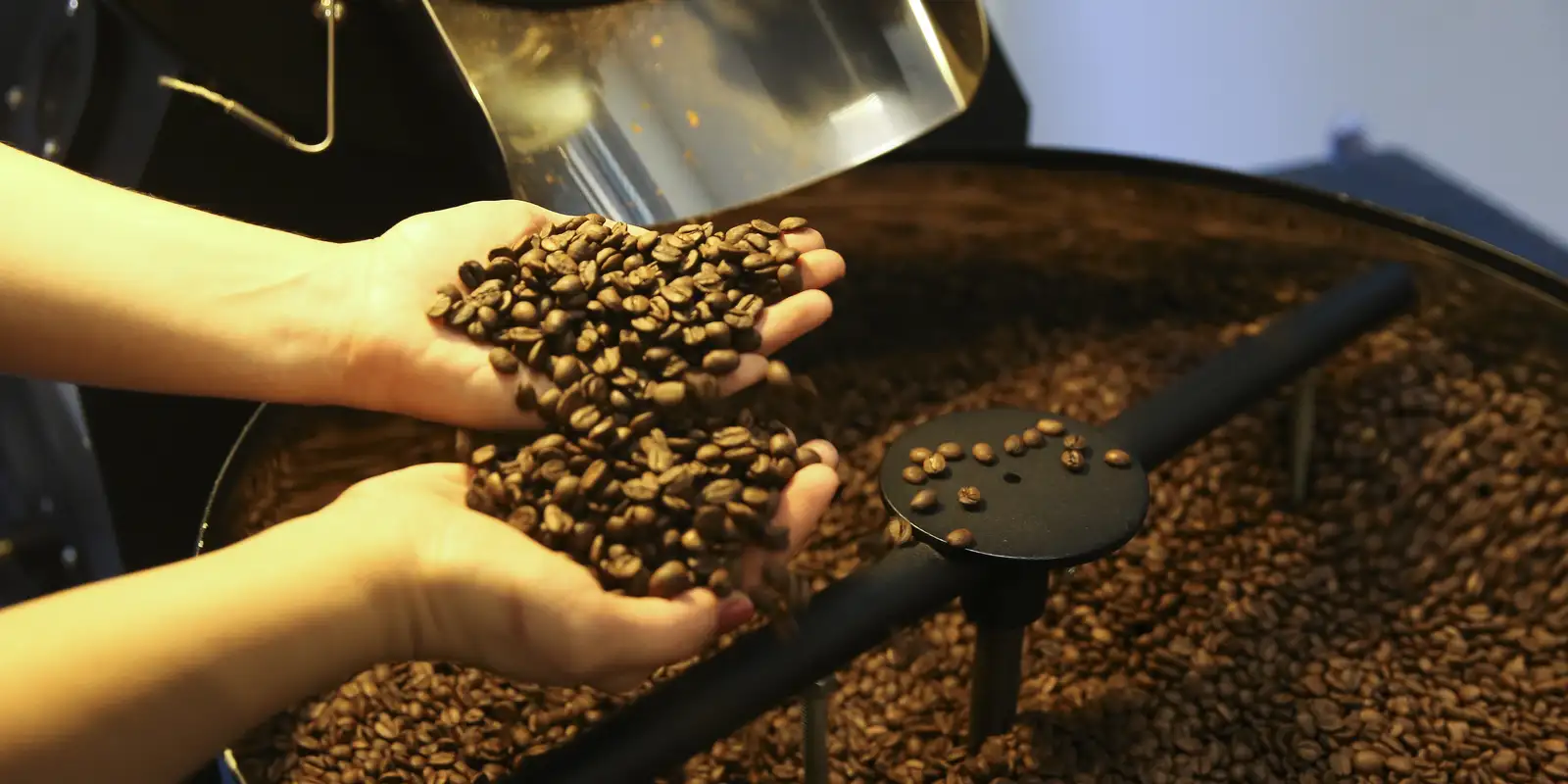 Exportação de café do Brasil cai em 2025, mas bate recorde em receita