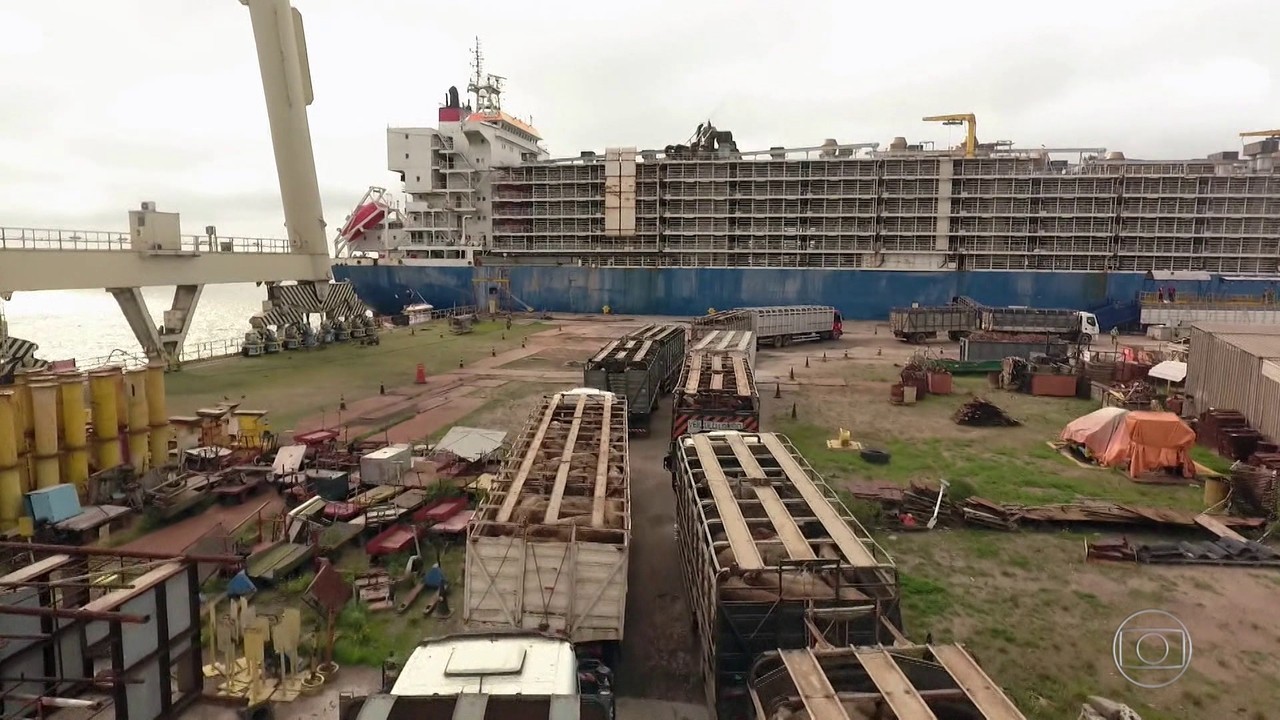 Exportação de gado vivo dobra em 3 anos, mesmo com críticas de ambientalistas ao transporte