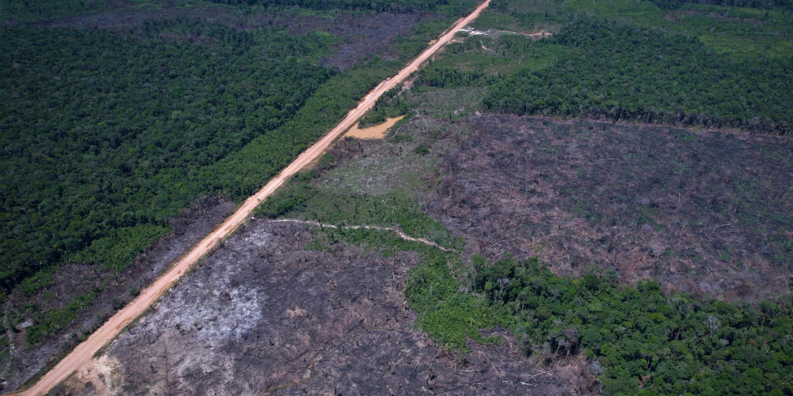 Alertas de desmatamento caem 35% na Amazônia e 6% no Cerrado