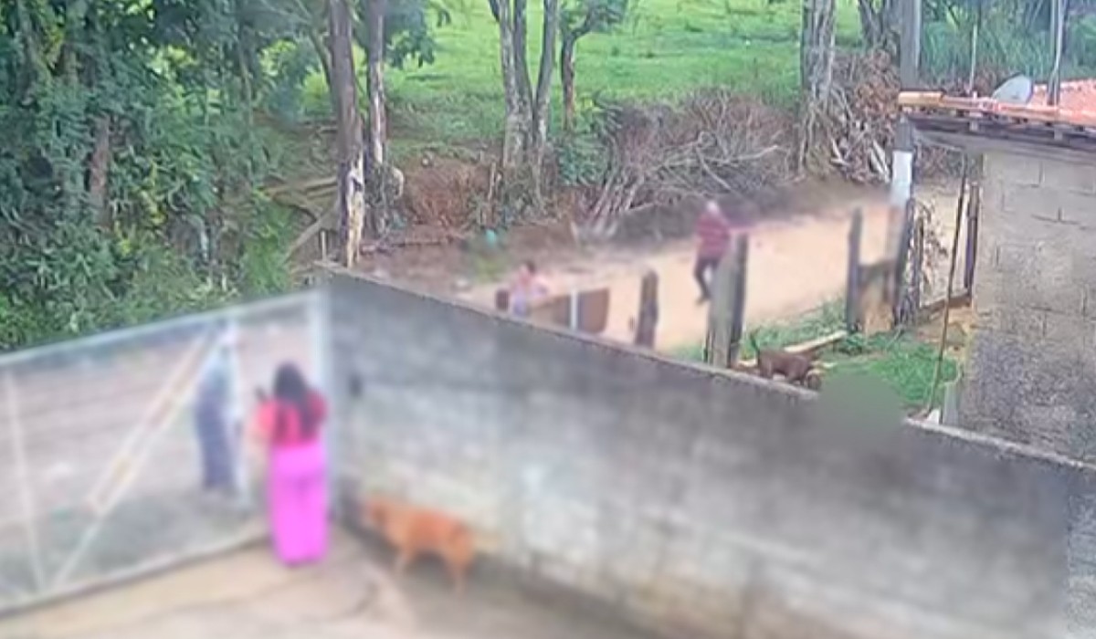 Morte de bebê de 11 meses arrastado por pitbull em SP:  o que se sabe e o que falta esclarecer