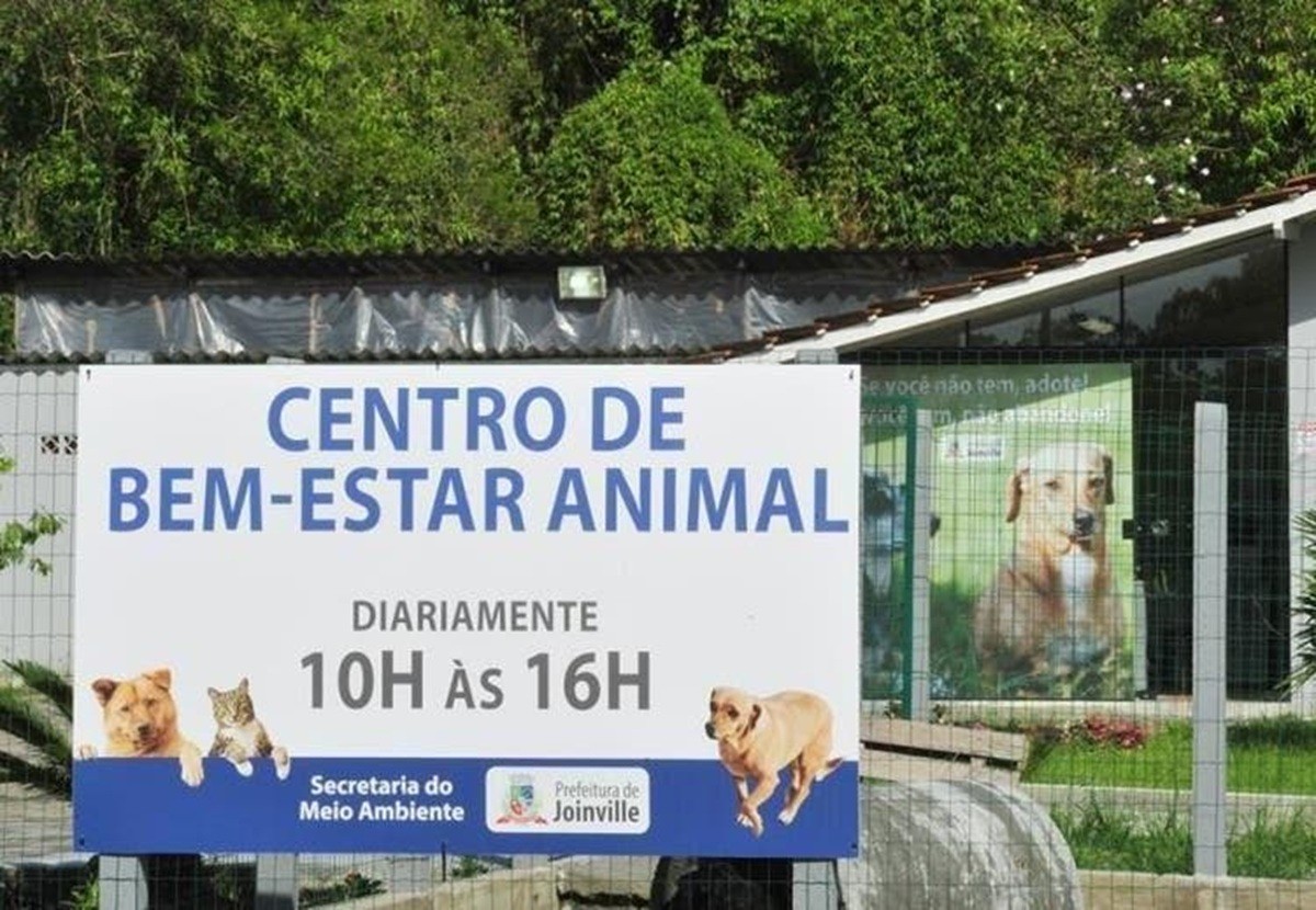 MPSC pede mais dados após denúncia de animais eutanasiados em abrigo