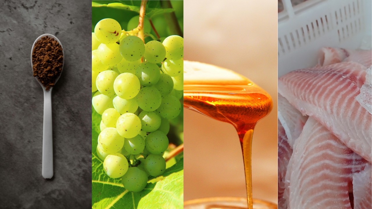 'Voltamos para o jogo': setores do agro que ainda sofriam com tarifaço de até 50% esperam retomar vendas para os EUA