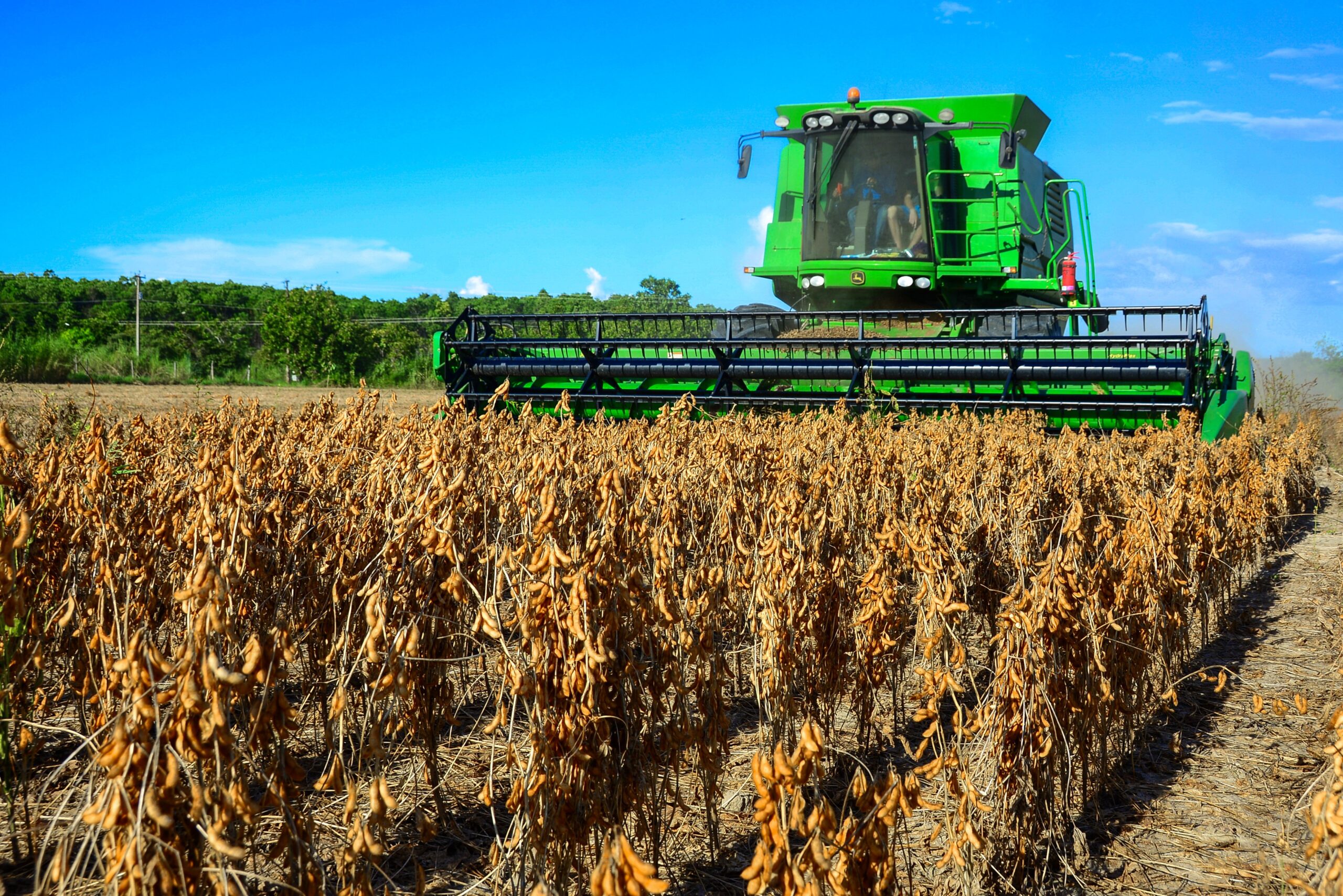 No ano do tarifaço de Trump, pedidos de falência de agricultores crescem quase 50% em 2025 nos EUA