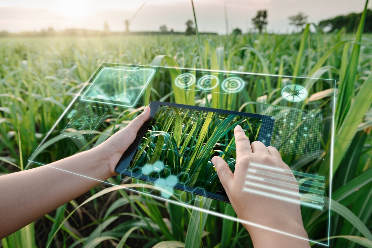 Inteligência artificial também pode conservar a natureza. Entenda como