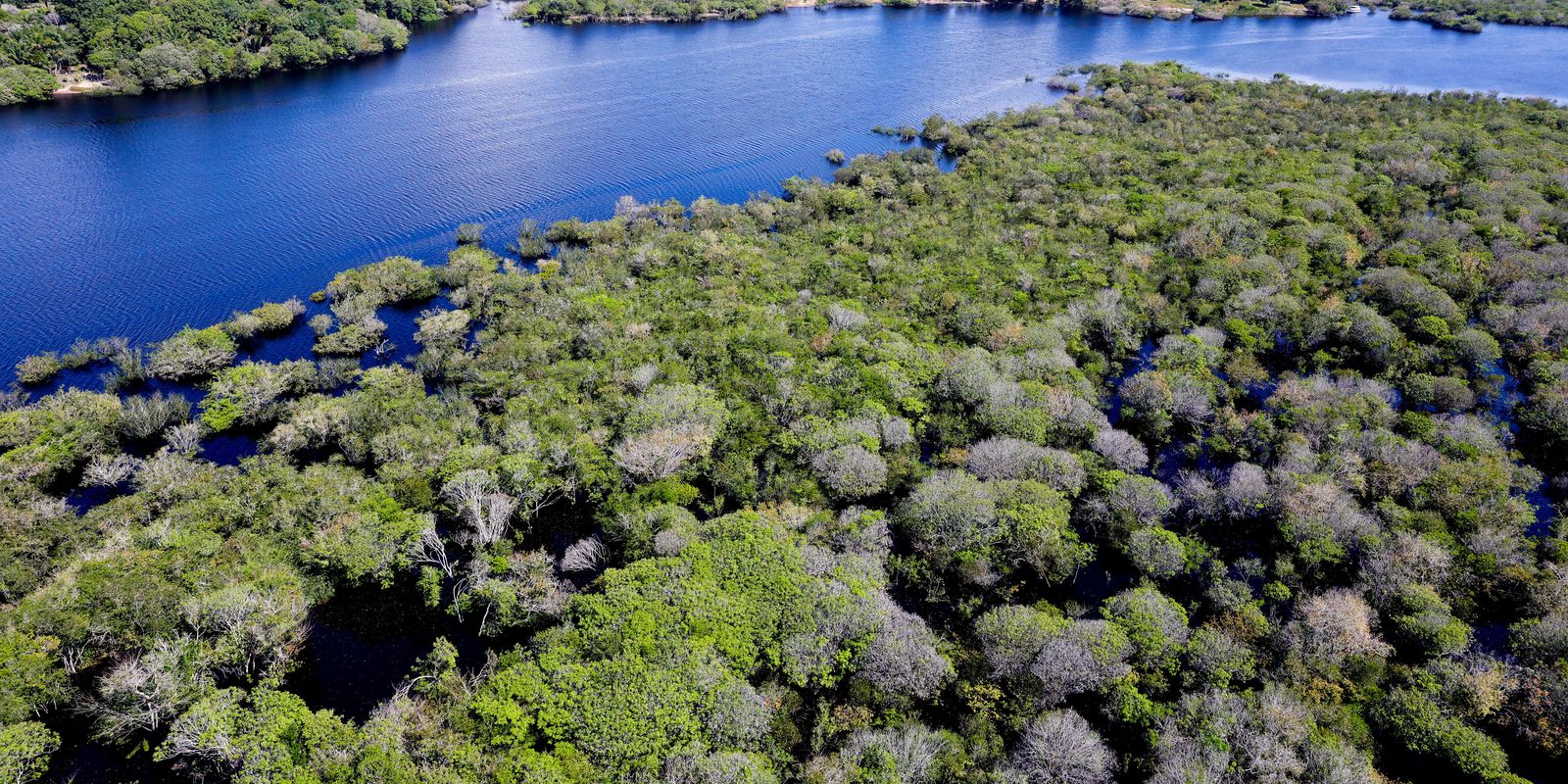 Governo lança edital para combate ao desmatamento na Amazônia