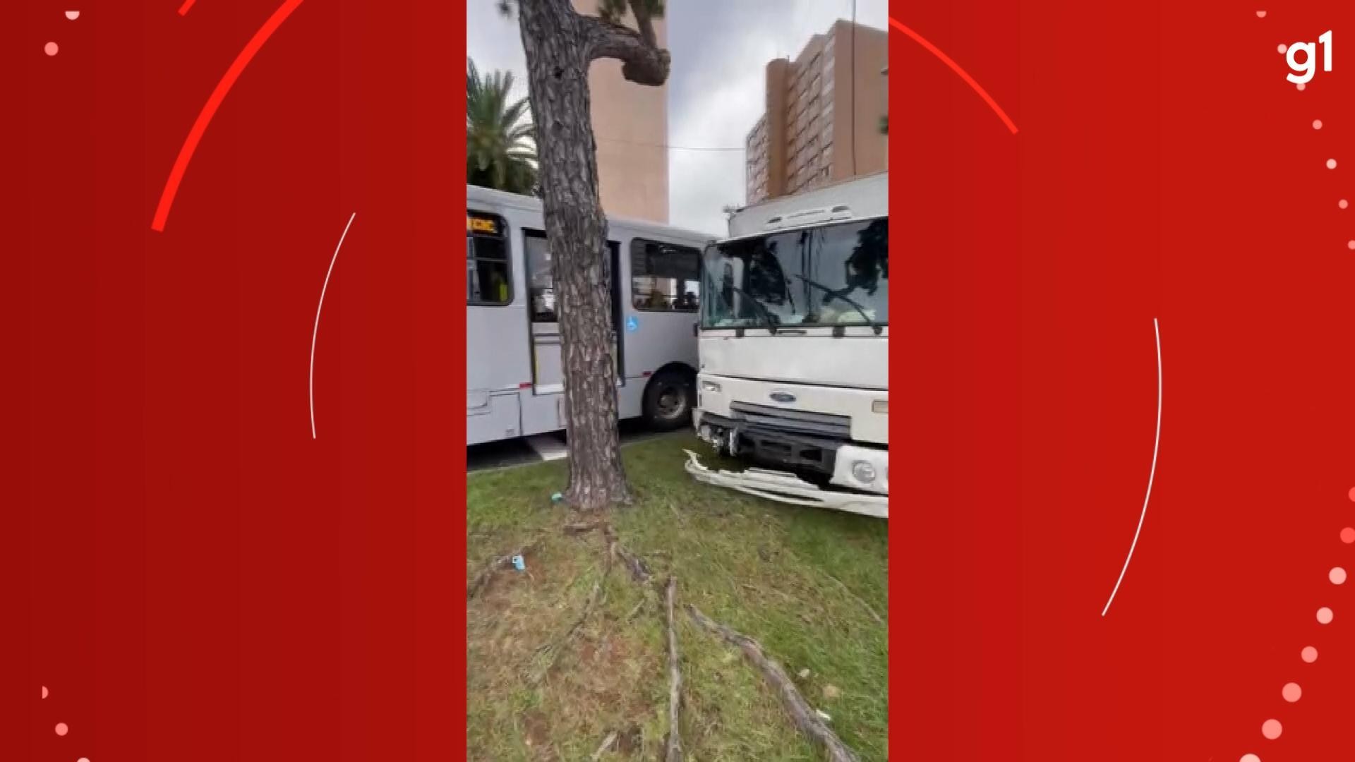 VÍDEO: homem furta caminhão, dirige pela contramão, bate em ônibus e sai do veículo sem calça, em Curitiba