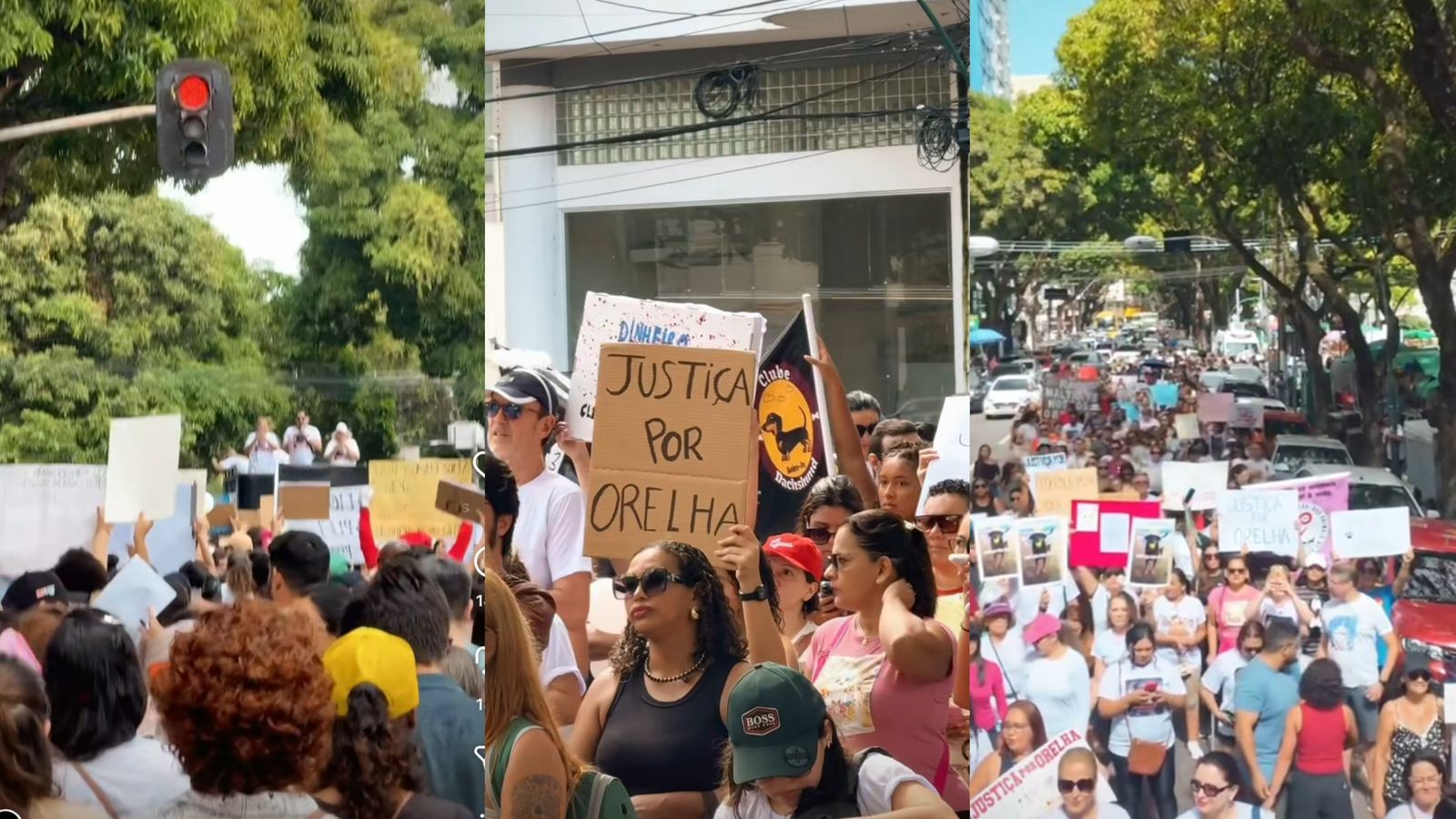 Ato em Belém pede justiça pela morte do cachorro Orelha