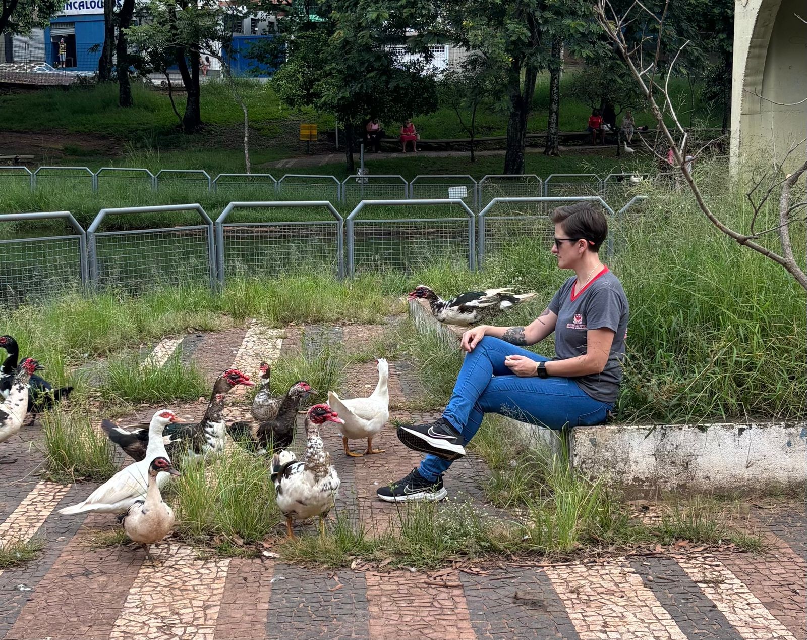 VÍDEO: comerciante viraliza com crítica bem-humorada sobre mato alto e buracos no interior de SP