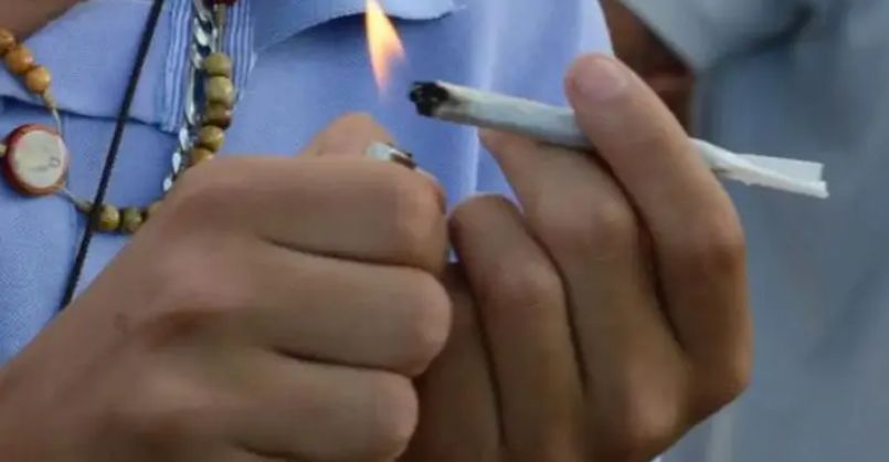 maconha na adolescência dobra risco de transtornos