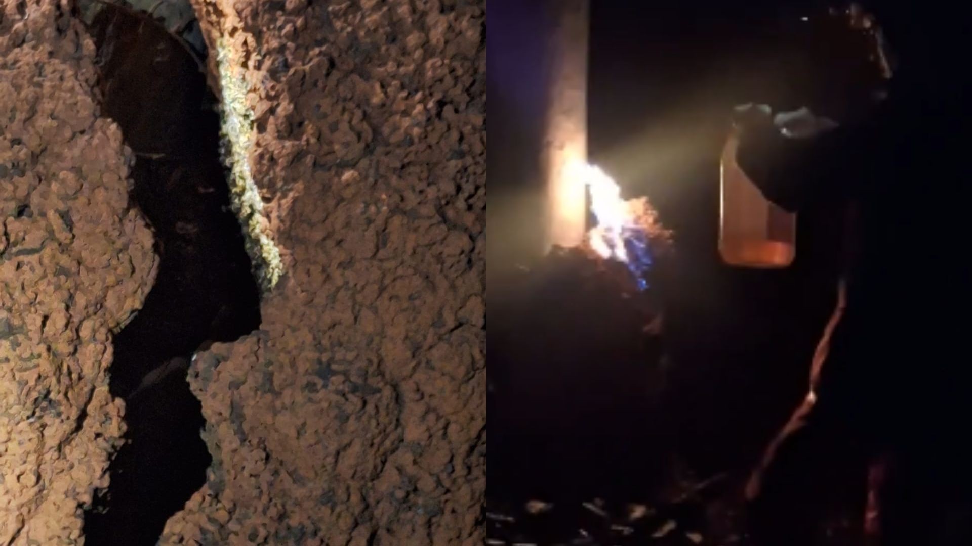 Trabalhador morre após passar mal ao fugir de enxame de abelhas em MG