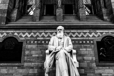 Coleção bicentenária de Darwin é examinada sem a abertura dos potes