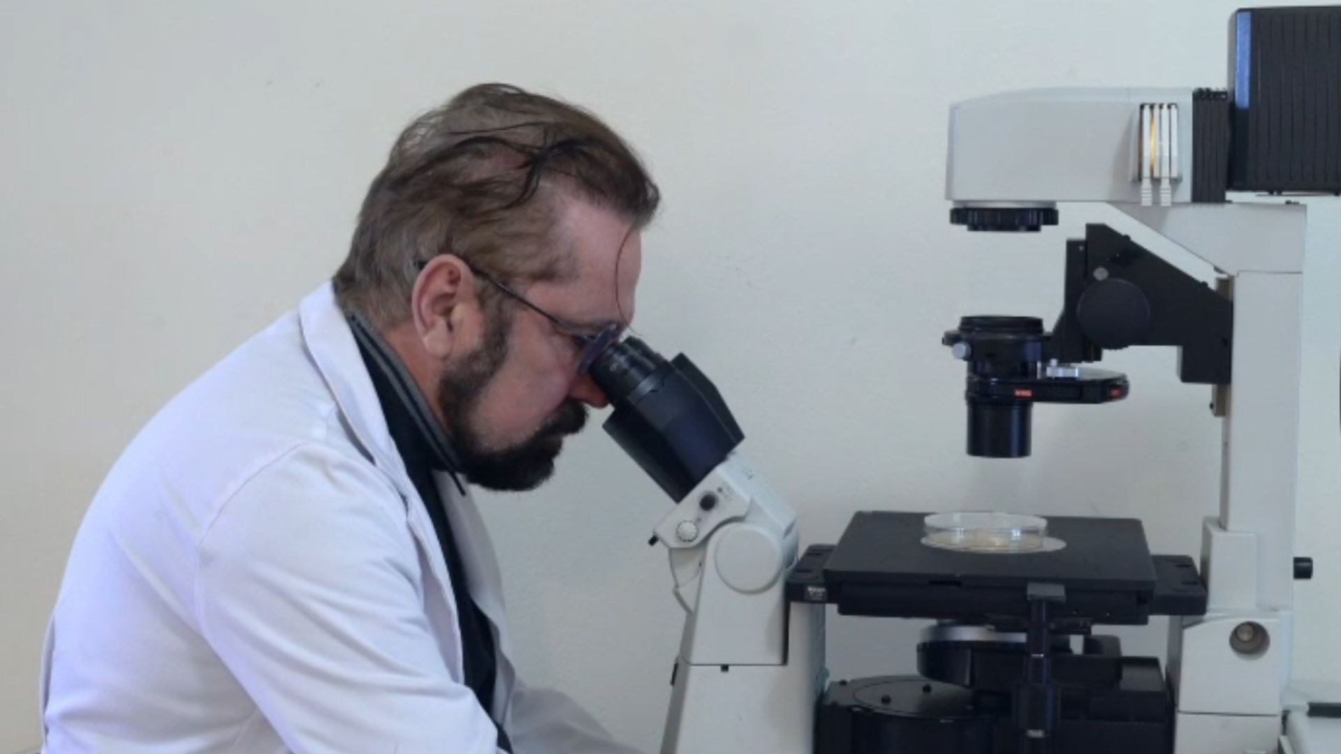 Cientista brasileiro identifica molécula capaz de destruir câncer