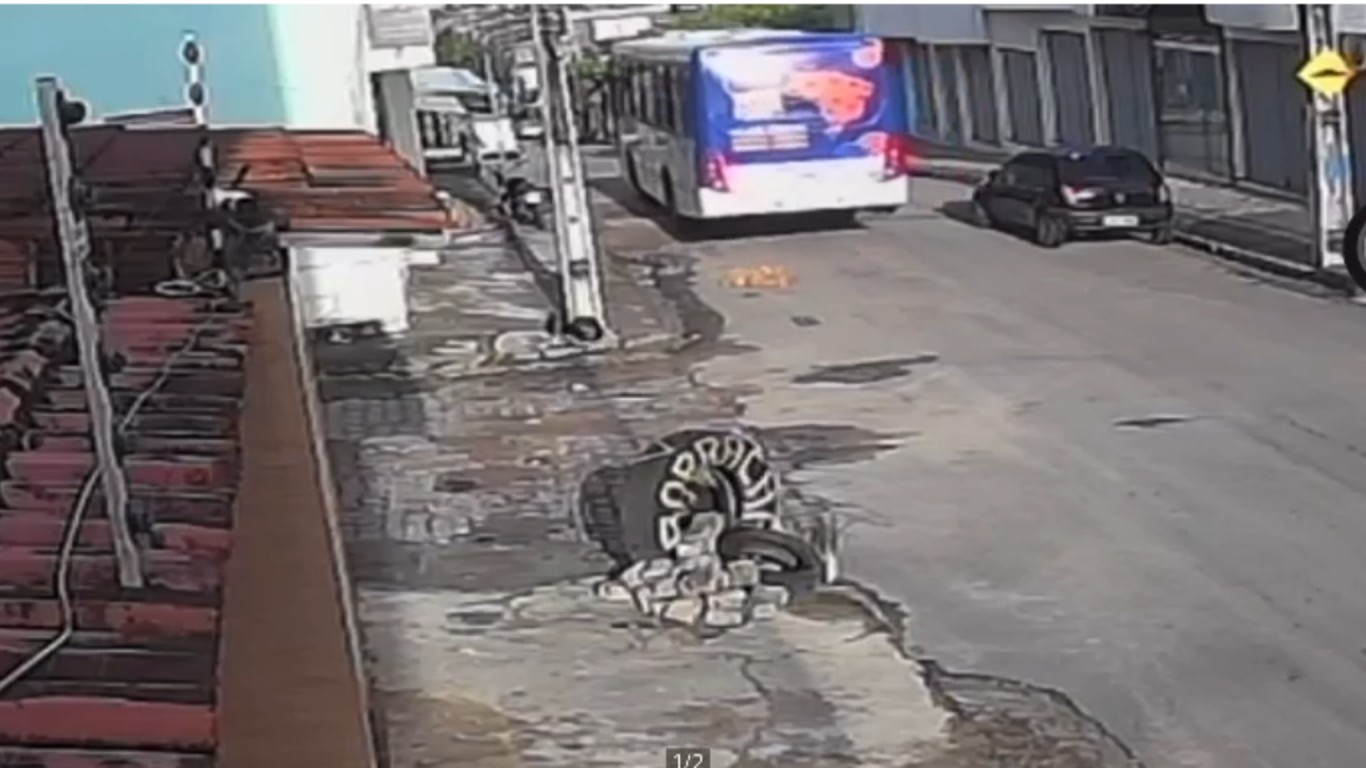 Ônibus atropela e mata cachorro em Caruaru; motorista não parou