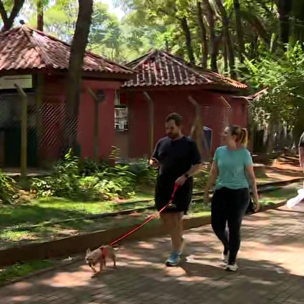 Campinas libera pets em parques, menos no Bosque dos Jequitibás