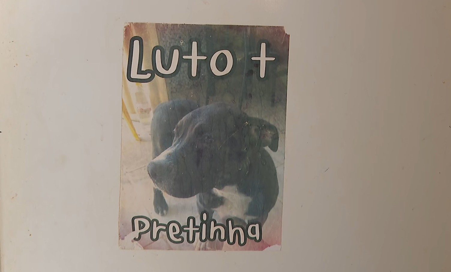 'Nenhum dinheiro no mundo vai trazer ela de volta', diz tutora de cachorra morta a tiros por PM no interior de SP