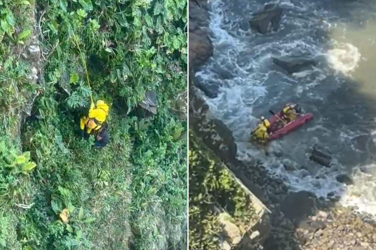 Homem se joga de precipício para escapar de ataque de abelhas no litoral de SP; VÍDEO