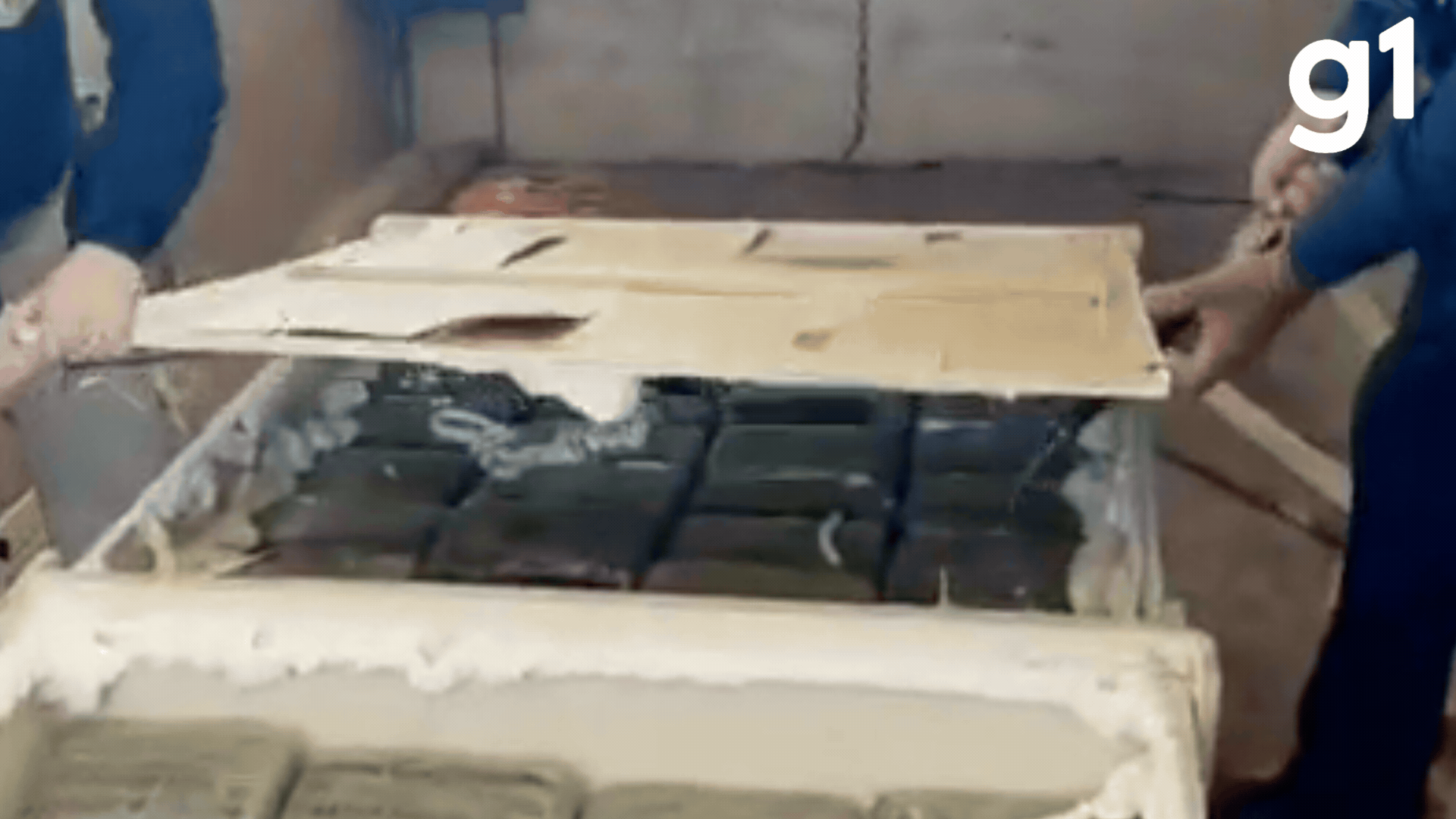 Mais de 1 tonelada de skunk é encontrado dentro de veículo de carga MT