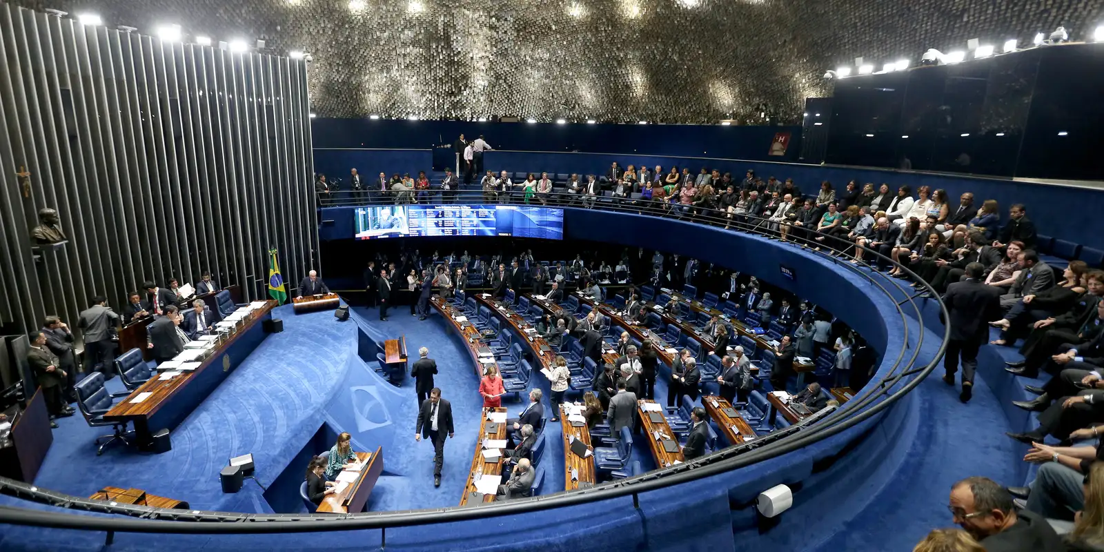 Senado aprova PL que reconhece estágio como experiência profissional