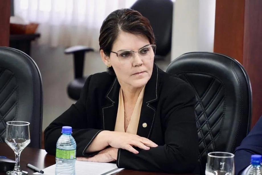 Deputada alerta que lei não faz ‘mágica’ sem polícia na rua