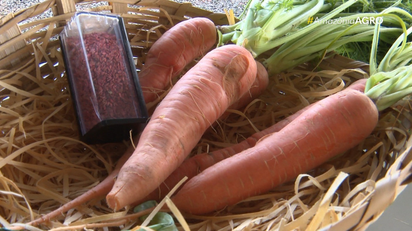 Calor extremo ameaça produção de alimentos no mundo, alertam agências da ONU