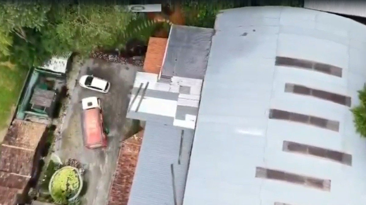 Boate em Itaipava é multada por uso de fogos barulhentos