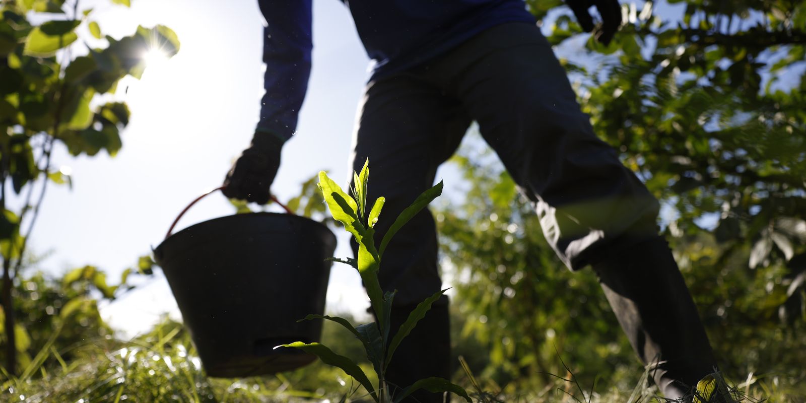 Governo apresenta plano para desenvolver bioeconomia no país