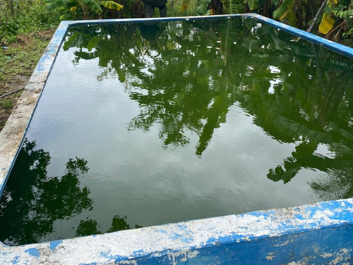 Compesa identifica furto de água capaz de abastecer até 5 mil pessoas