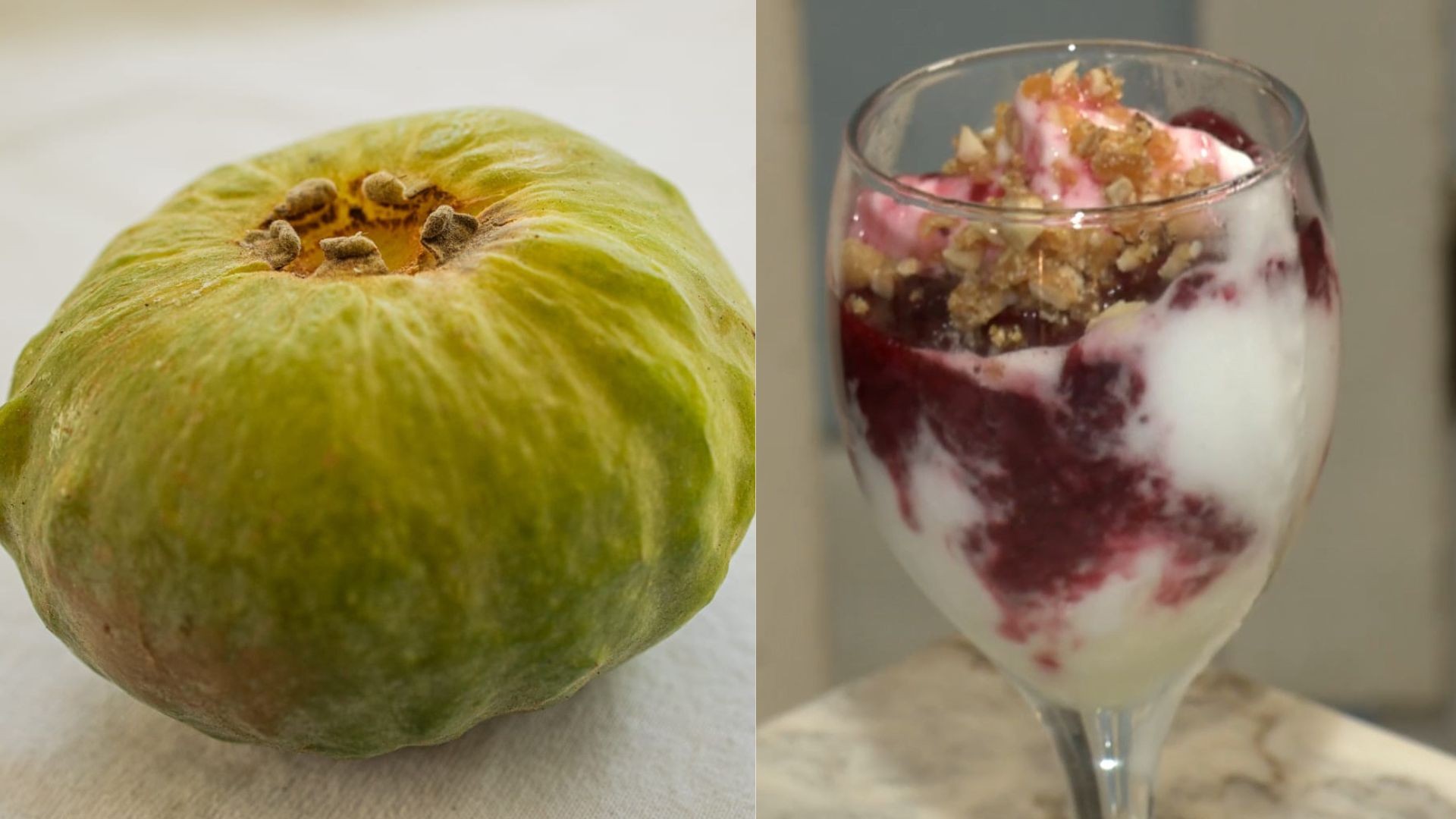 Gabiroba gigante: conheça fruta da Mata Atlântica que venceu concurso