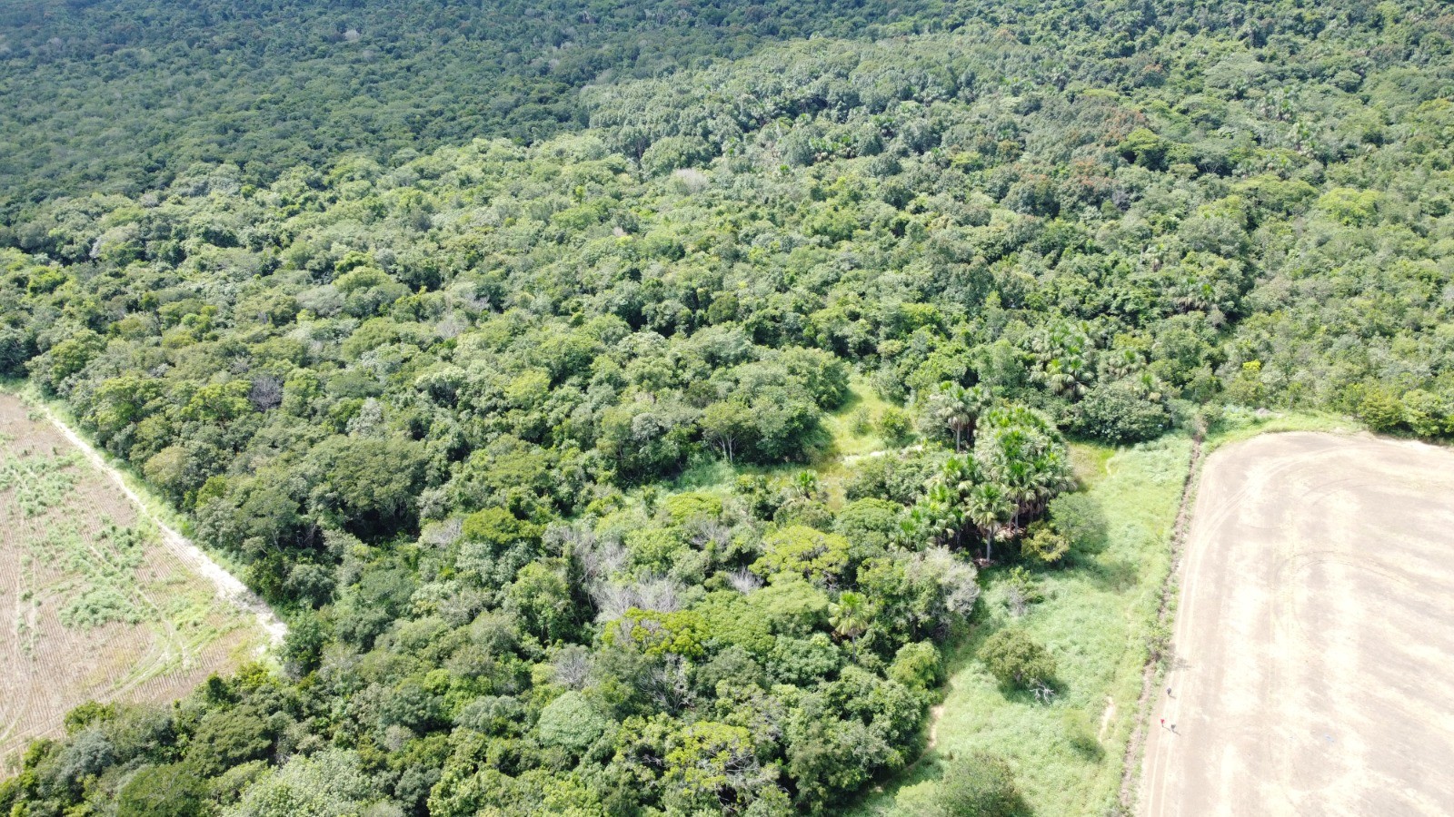 Veja como é a área onde mecânico agrícola ficou 20 dias desaparecido